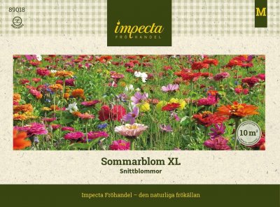 Blomsterblandning XL, Snittblommor