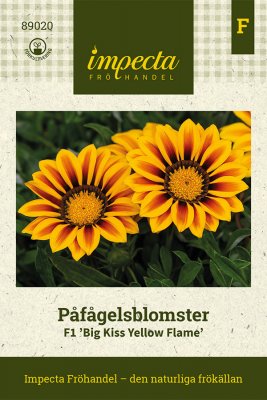 Påfågelsblomster F1 'Big Kiss Yellow Flame'