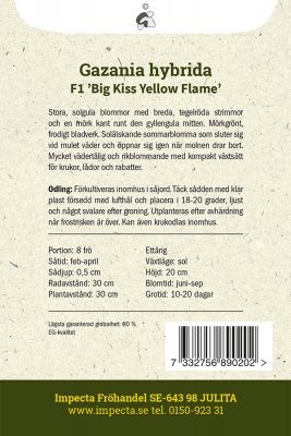 Påfågelsblomster F1 'Big Kiss Yellow Flame'