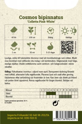 Rosenskära, Colletta Pink-White