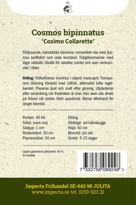 Rosenskära, Cosimo Collarette