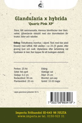 Verbena, Trädgårds-, Quartz XP Pink