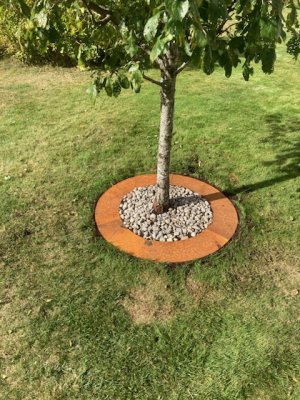 Trädring Platt Rost 90cm