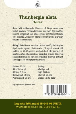 Svartöga, 'Aurea'