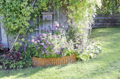 Gräskant Rost 16cm x 5m