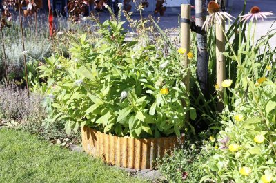 Gräskant Rost 16cm x 5m