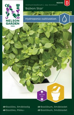 Basilika, Småbladig, Balkon Star