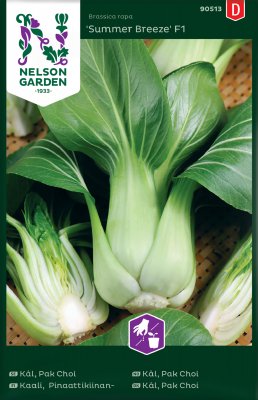 Kål, Pak Choi, Summer Breeze F1