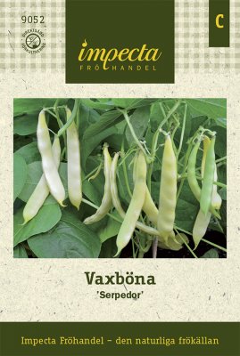 Böna, Vax-, 'Serpedor'
