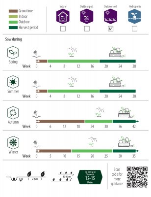 Morot Sommar Nantaise 2