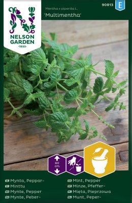 Mynta, Peppar- Multimentha