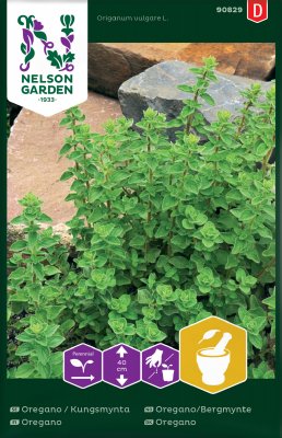 Oregano, Kungsmynta