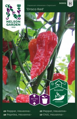 Havannapeppar Draco Red