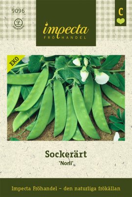 Ärt, Socker-, 'Norli', Ekologisk