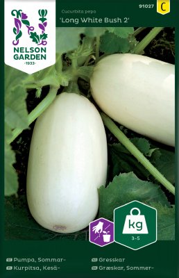 Pumpa, Sommar-, Long White Bush 2