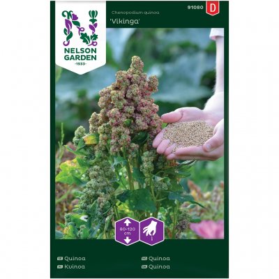 Quinoa, Vikinga