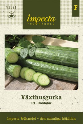 Gurka, Växthus-, 'Cordoba' F1