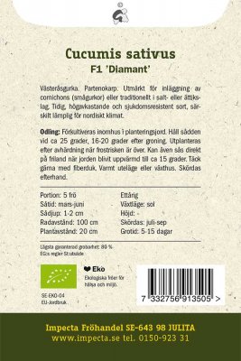 Gurka, Druv-, 'Diamant' F1, Ekologisk