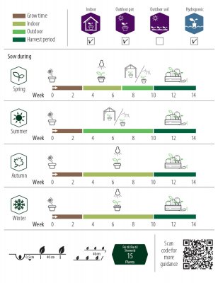 Kruktomat Balkonzauber