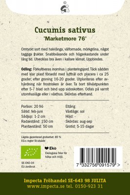 Gurka, Slang-, 'Marketmore 76', Ekologisk