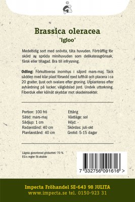 Kål, Blom-, Igloo