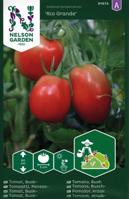 Busktomat Rio Grande