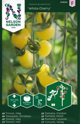 Tomat White Cherry