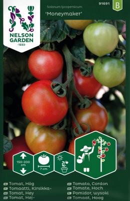 Växthustomat Moneymaker
