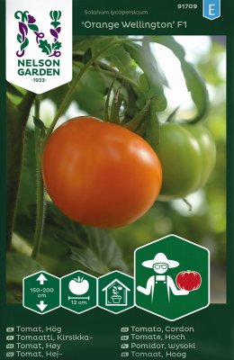 Bifftomat Orange Wellington F1