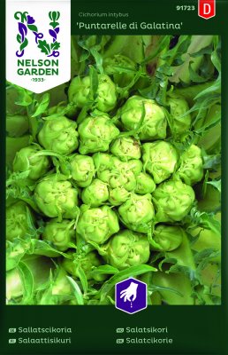 Sallatscikoria Puntarelle di Galatina