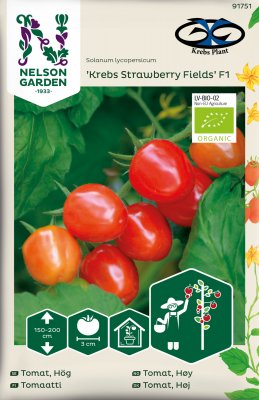 Körsbärstomat, Jordgubbstomat Krebs Strawberry Fields F1