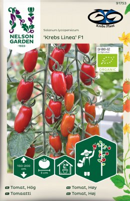 Solanum lycopersicum Krebs Linea F1