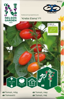 Plommontomat Krebs Elena F1