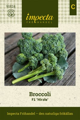Broccoli, Hirzia F1
