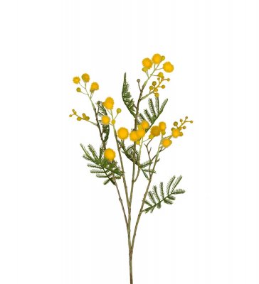 Mimosa Gul 60cm