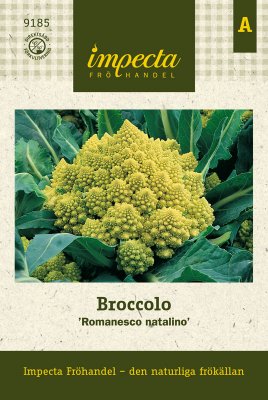 Broccolo, 'Romanesco Natalino'