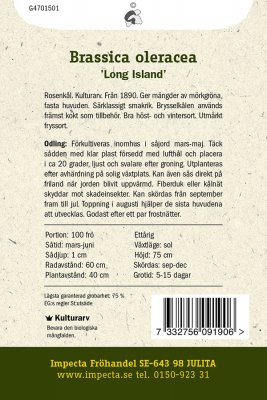 Kål, Bryssel-, Long Island