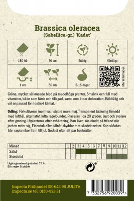 Grönkål Kadet