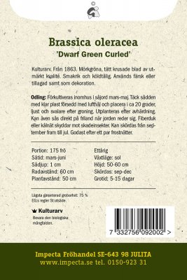 Kål, Grön-, Dwarf Green Curled