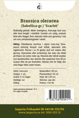 Purpurkål Scarlet