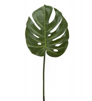 Monstera Blad Grön 60x22cm, Konstgjord