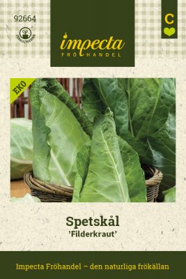 Spetskål Filderkraut
