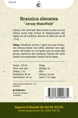 Spetskål Jersey Wakefield