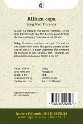 Lök, Röd, 'Long Red Florence'