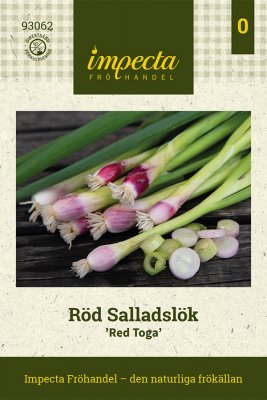 Lök, Sallads-, Röd, Red Toga