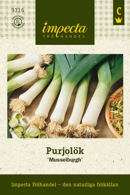 Lök, Purjo-, Musselburgh