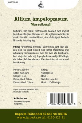 Lök, Purjo-, Musselburgh