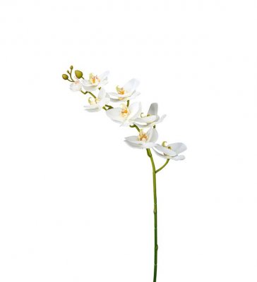 Phalaenopsis Vit 75 cm, Konstgjord