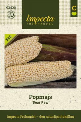 Majs, Pop-, Bear Paw