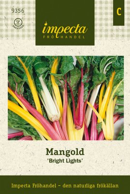 Mangold, Bright Lights